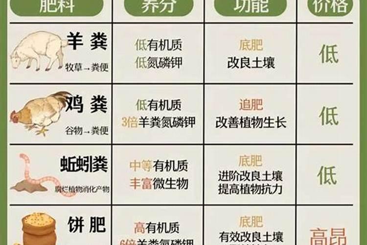 蔷薇不爬藤就长花苞了要把花苞修剪掉吗？