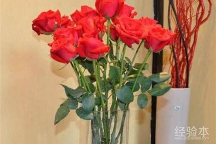 玫瑰中只含什么素