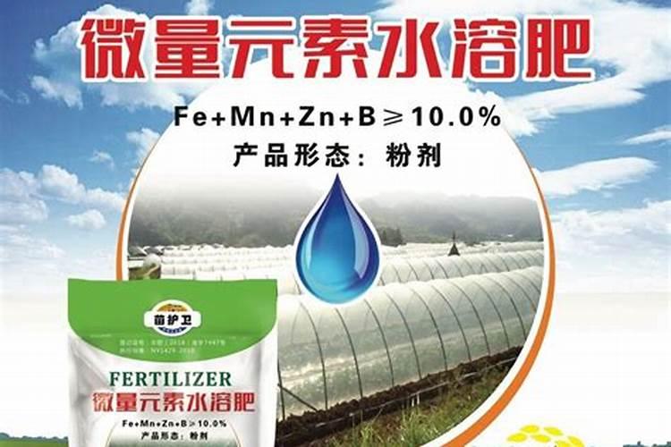 种树多久能施肥