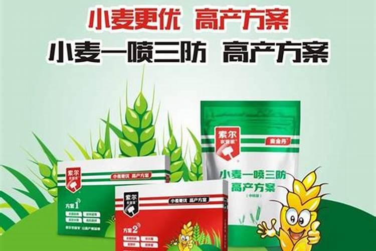 哪些植物的生长离不开土壤？