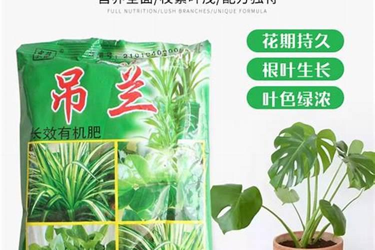 水溶肥施用后多久见效