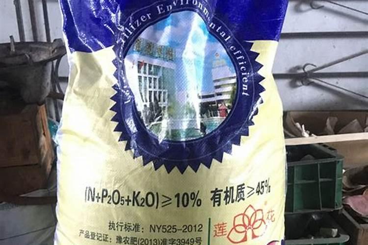 真的生物肥料长菌丝吗？多不多