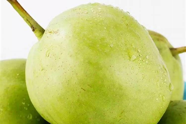 如何施用叶面肥