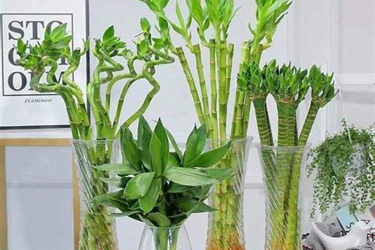 洋丰25一10一16是不是长效肥