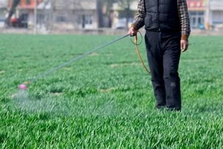农作物肥料在什么时间最好