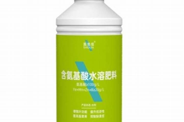 补镁应该吃什么药