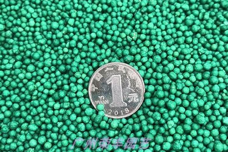 观叶植物用什么肥料好 观叶植物施什么肥为主