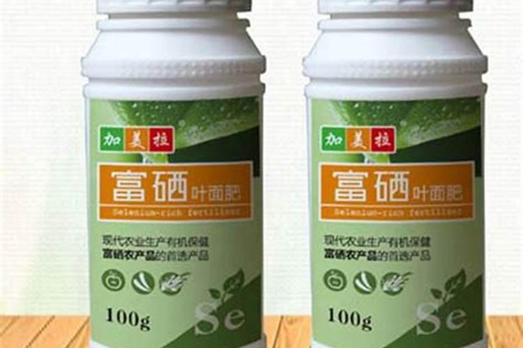 女的在化肥厂什么车间最好