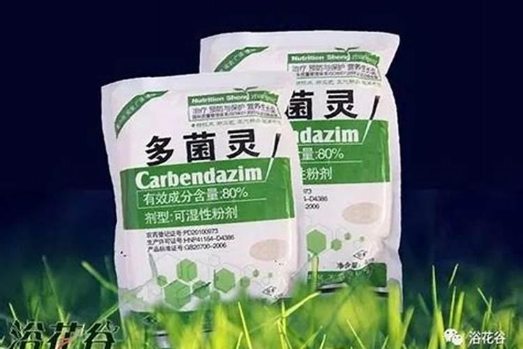 四季豆开花结果期怎么施肥