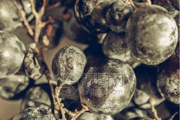 土壤不健康,应如何合理精准施肥,提高肥料利用率？