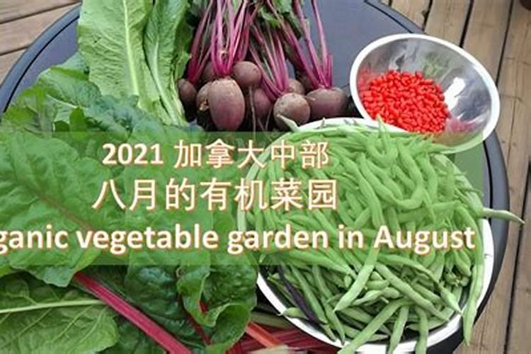 自家种植蔬菜,如果不想用化肥和农药,需要具备哪些物质？