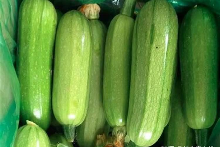 水兰水兰的养殖方法/水兰的养护知识