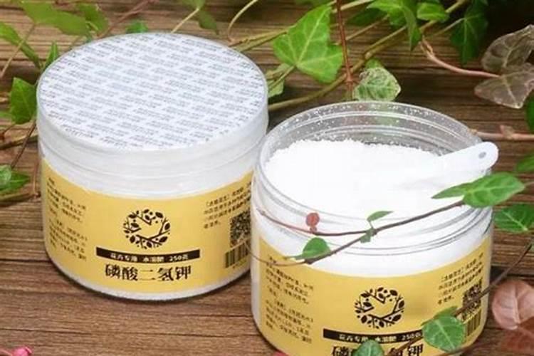 草莓苗水浇多了会怎么样 草莓苗浇水注意事项