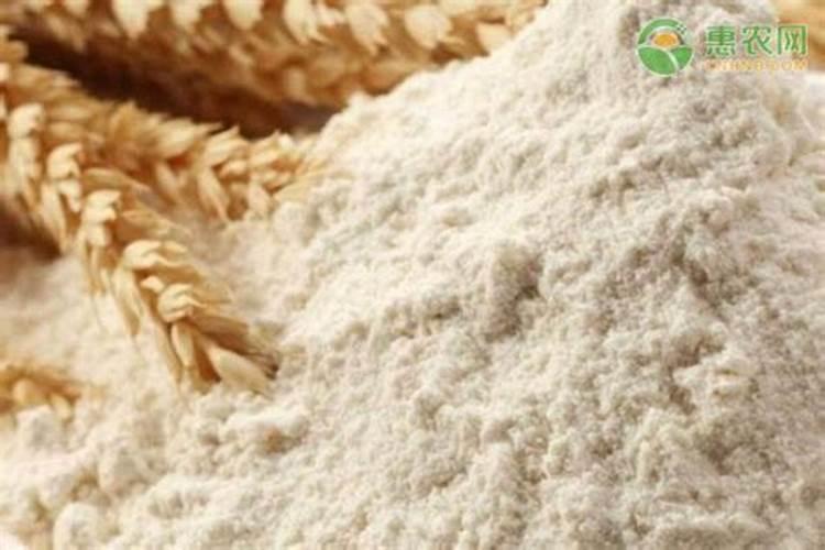 小麦粉和面粉的区别