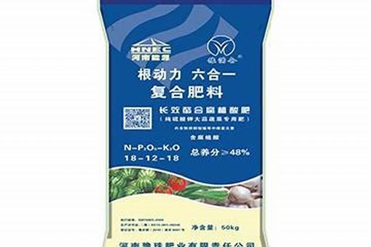 岳阳国企有哪些？