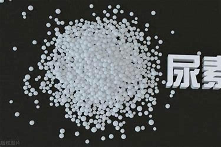 碳酸氢铵怎么施肥 碳酸氢铵的使用注意事项