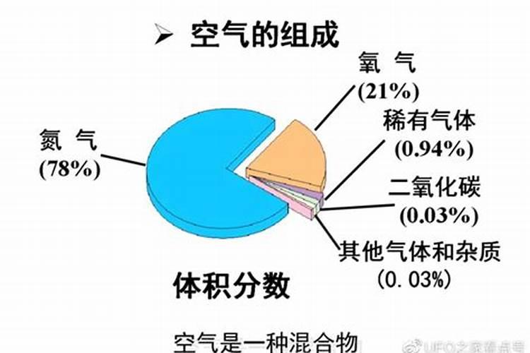 芦荟干尖怎么处理