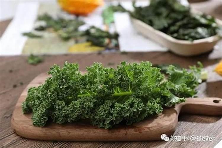 种草籽应该注意什么