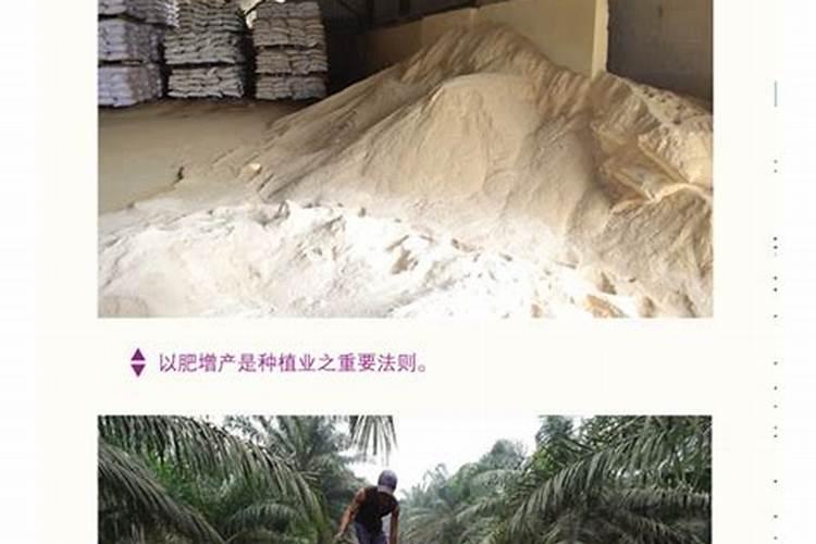 什么东西含氮肥最多