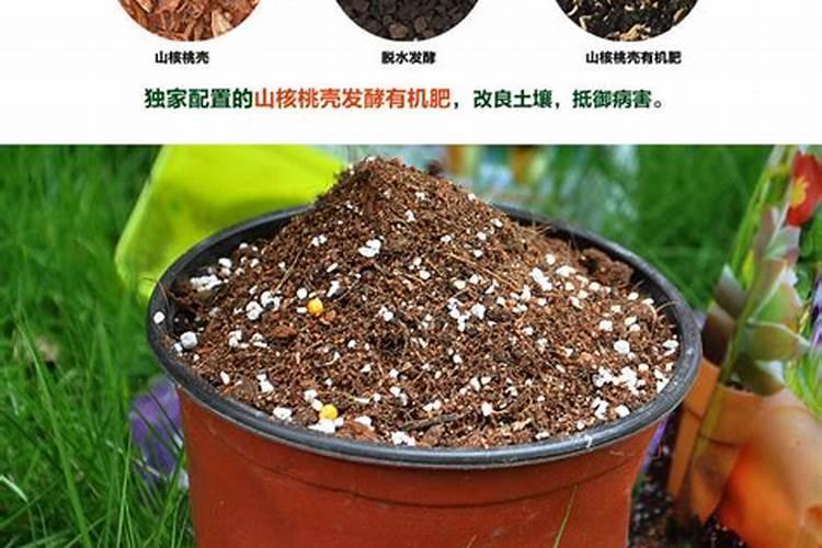 有机肥料可以直接种花吗