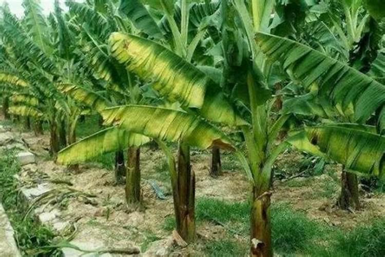 能释放热的氮肥有哪些