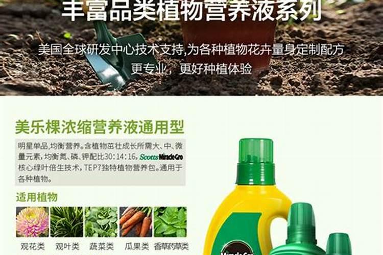 水培绿萝用什么肥料长得快