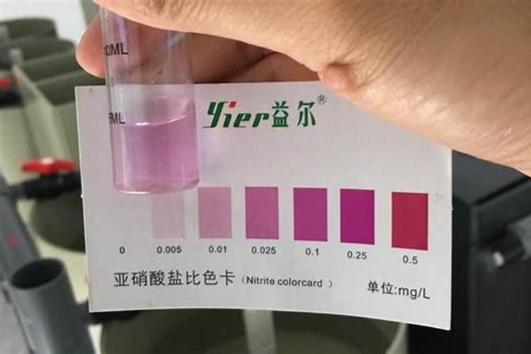 池塘中亚硝酸盐高是什么原因？该怎样处理？