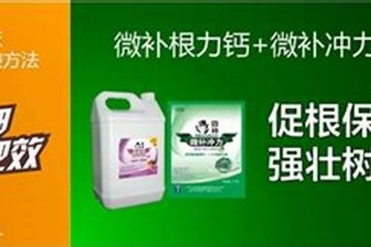 给果树追肥什么钙肥好？