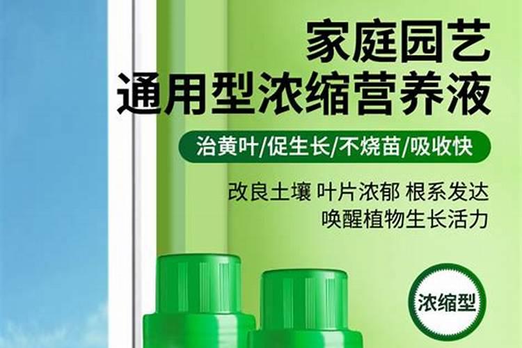 红糖加尿素肥水的作用