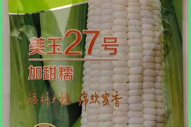 什么牌子的玉米专用肥最好？