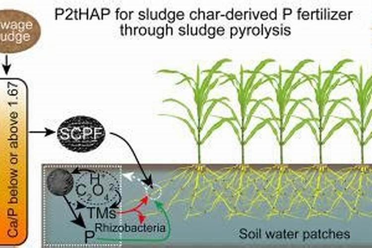 哪三个时间段是生石灰使用的大忌？
