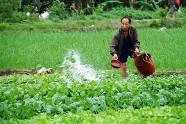 怎样区分氮肥和磷肥和钾肥