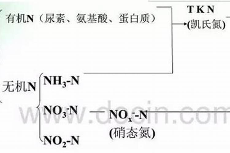 铵态氮和氨氮有什么不同啊？