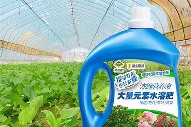 小麦上喷施硼肥有什么好处？拔节孕穗期喷几次,才能籽粒饱满能增产？