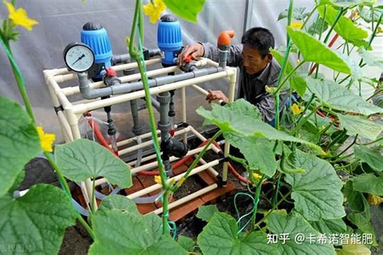 噻虫嗪化肥是用什么钾