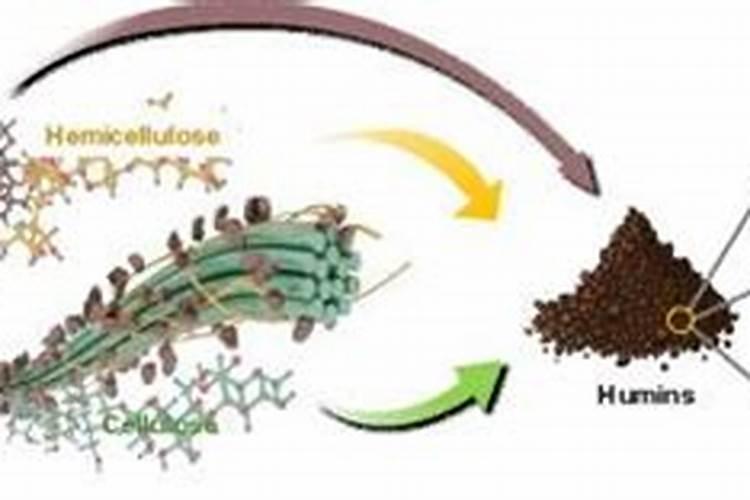 水溶肥品牌排行榜