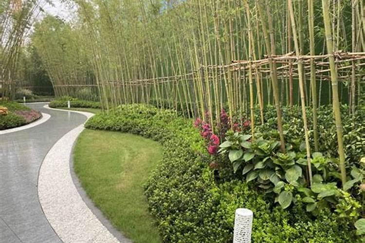 花卉用什么磷肥