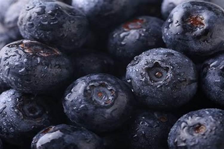 蓝莓施什么肥最好