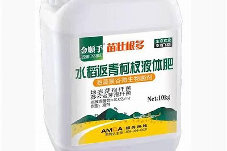 大蒜什么时候浇返青水最好
