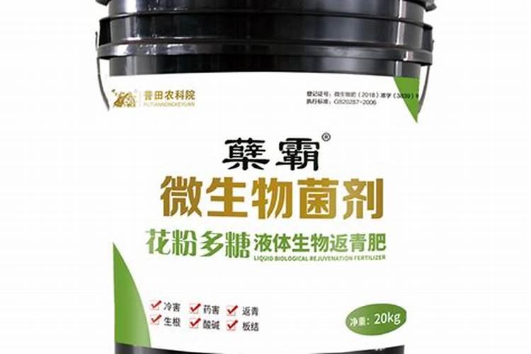 小麦返青肥用什么肥料好(小麦返青期追肥什么叶面肥好)