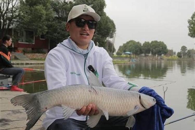 乌金片的功效与作用