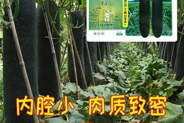 果树增甜用什么肥料