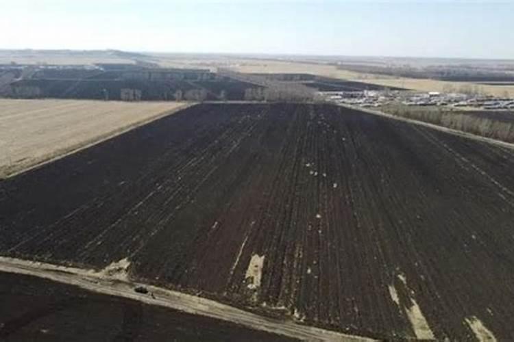 山东承水果品有限公司怎么样？