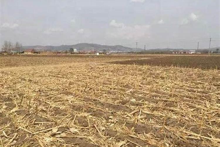 玉米田秸秆还田后,还用施钾肥吗？？？