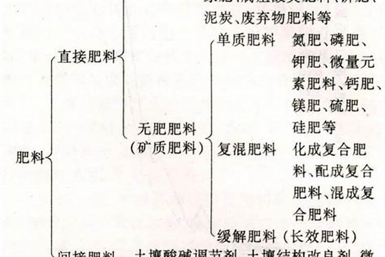吃什么能降磷
