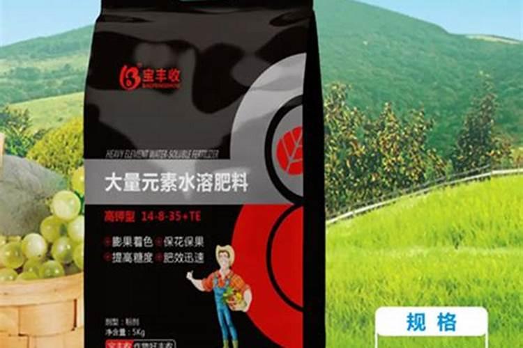 吃什么能降磷