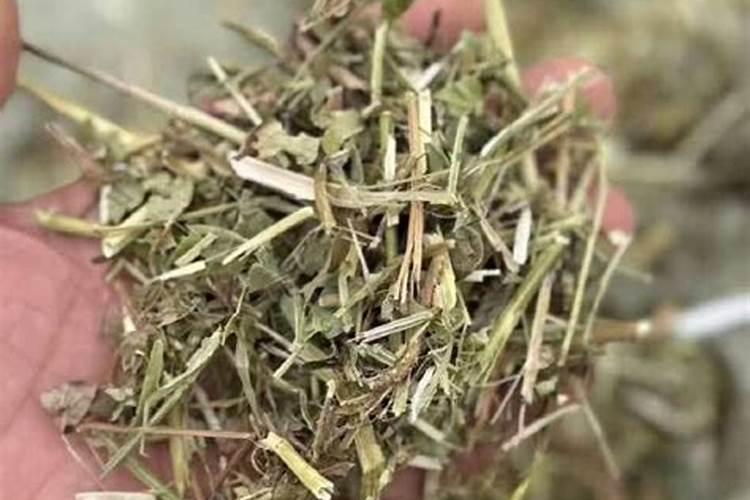 河南省信阳市淮滨县邮编是多少