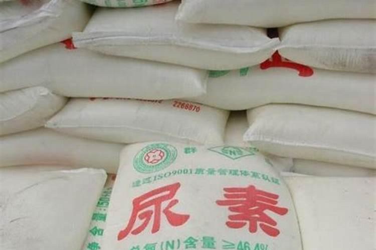 在养花时如何使用磷肥