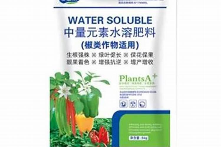 默兰刚有花苞能施肥吗？