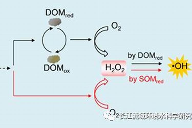 种红薯需要肥料吗